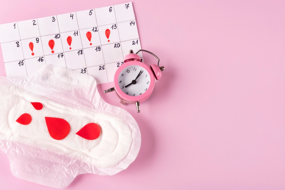 Der Zyklus: Von den fruchtbaren Tagen bis zu Menstruation