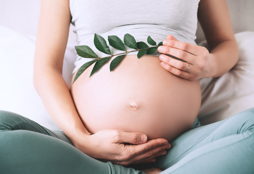 Pregnant,Woman,Holds,Green,Sprout,Plant,Near,Her,Belly,As