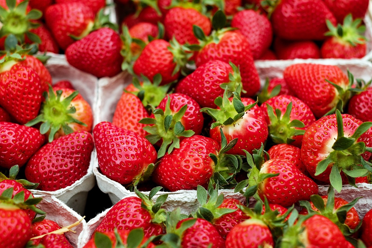 „Öko-Test“: Viele Erdbeeren sind giftig